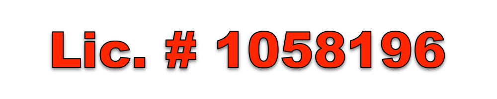 Arias%20F%20Electric%20License